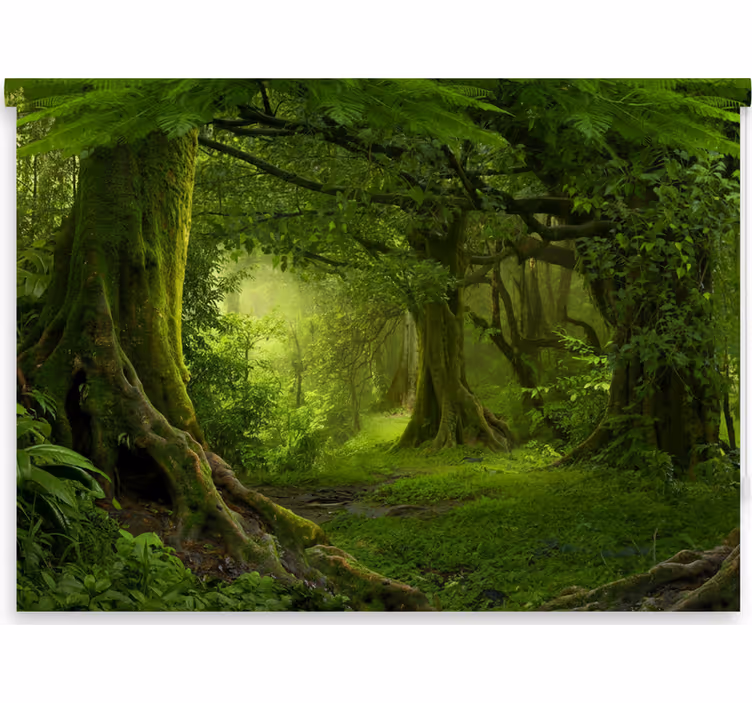Rollo fenster baum üppige wald-oase - TenStickers