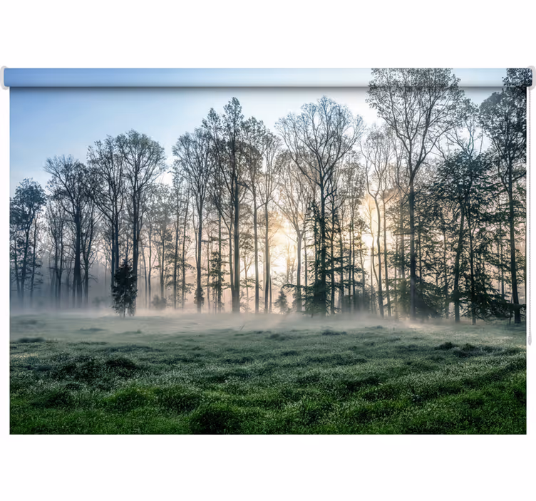 Rollo fenster baum nebeliger morgenwiese - TenStickers