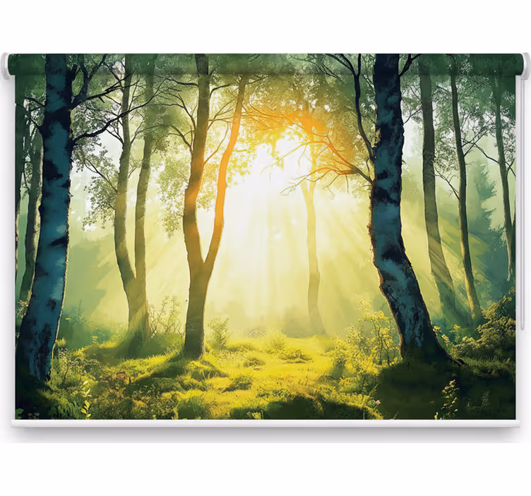 Rollo fenster baum sonnenverwöhnte birke wanddeko - TenStickers