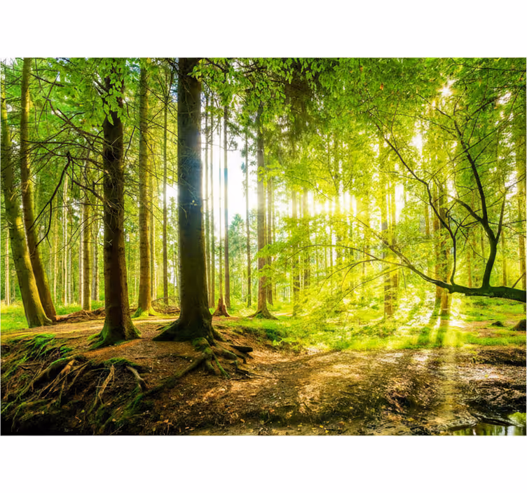 Rollo fenster baum üppiges bergtal - TenStickers