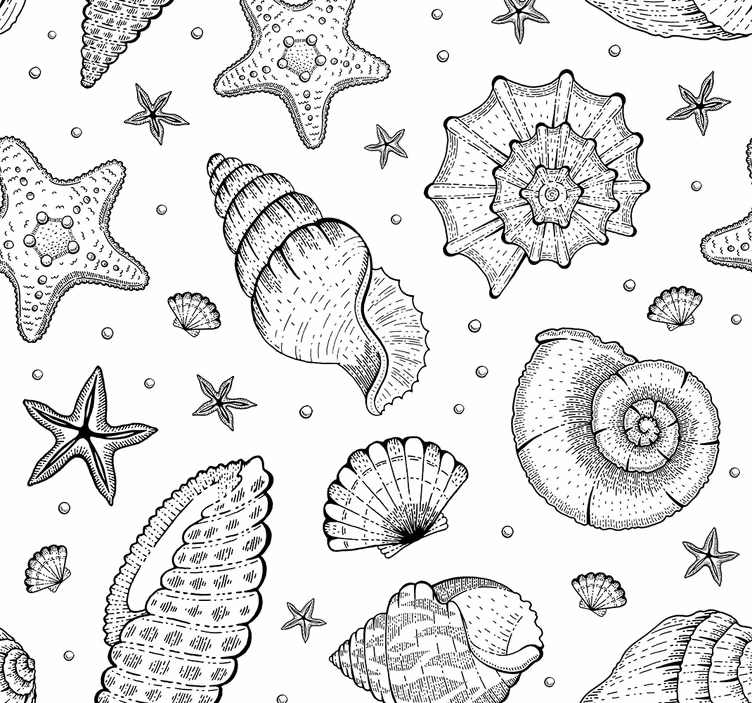 Rollo fenster home office meeresleben und muscheln schwarz weiß - TenStickers