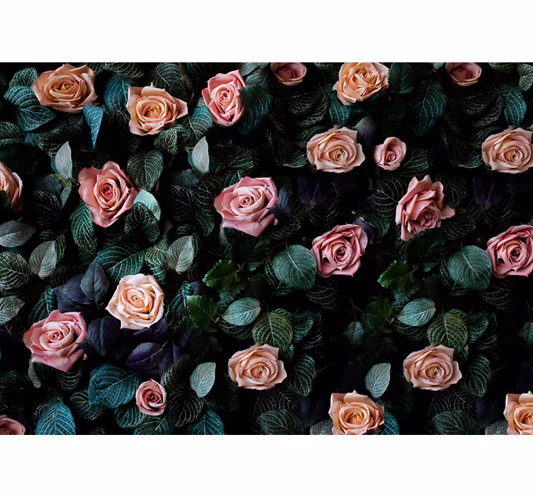 Rollo für küche in pinken korallenrosen - TenStickers