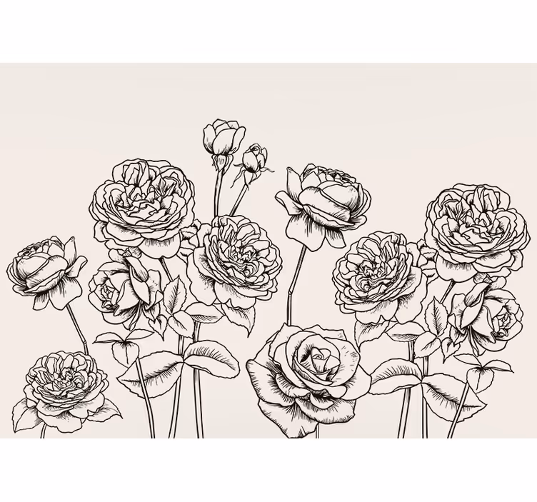 Rollo für küche mit handgezeichneten rosen in schwarz-weiß - TenStickers