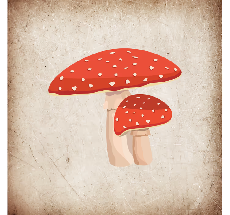 Rollo für küche mit fliegenpilz illustration - TenStickers