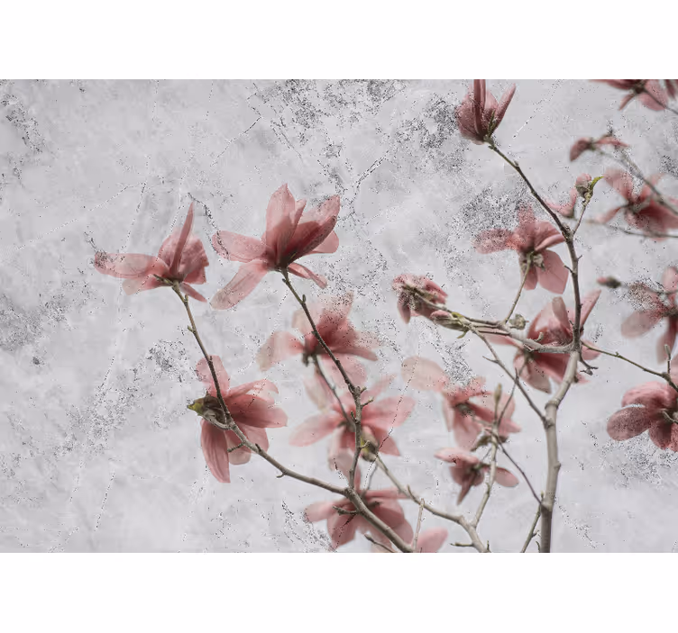 Rollo wohnzimmer im eleganten glamourstil magnolia - TenStickers