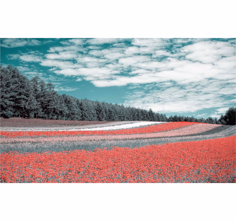 Rollo wohnzimmer blumenwiese in verschiedenen arten - TenStickers