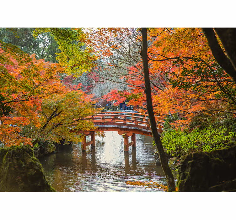 Rollo wohnzimmer japanischer garten wald - TenStickers