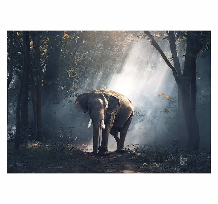 Rollo wohnzimmer elefant im wald - TenStickers