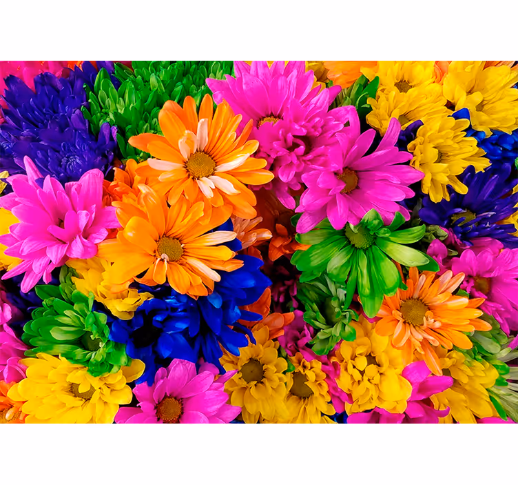 Rollo wohnzimmer bunten chrysanthemen - TenStickers