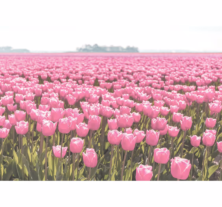 Rollo wohnzimmer feld mit verschiedenen rosa tulpen - TenStickers