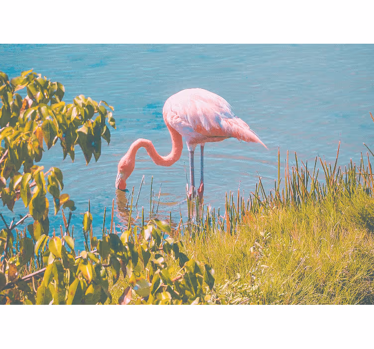 Rollo wohnzimmer schöner flamingo am wasser - TenStickers