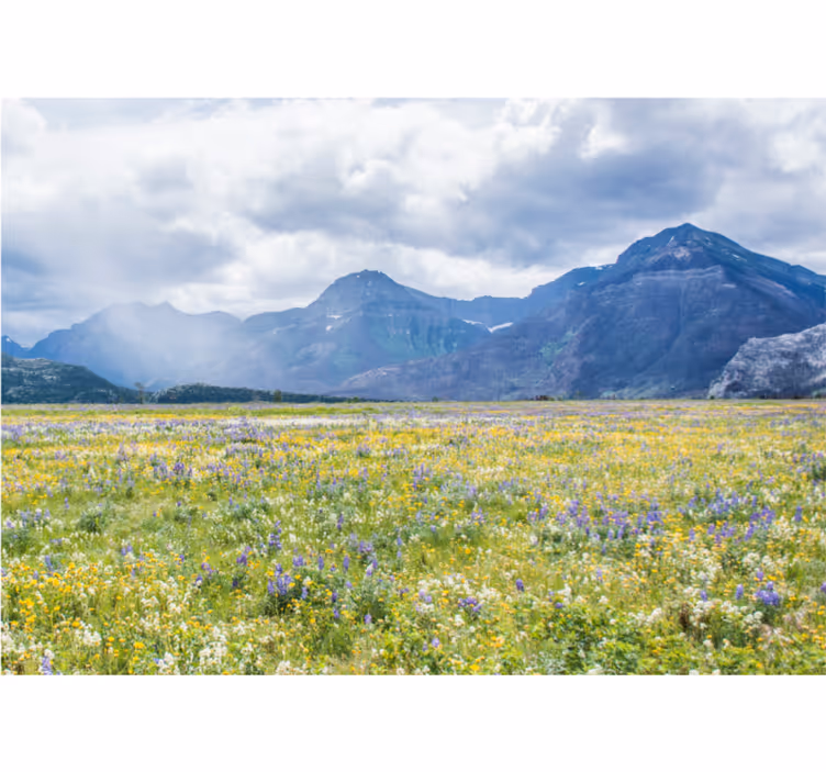 Rollo wohnzimmer wiesen mit kleinen blumen - TenStickers
