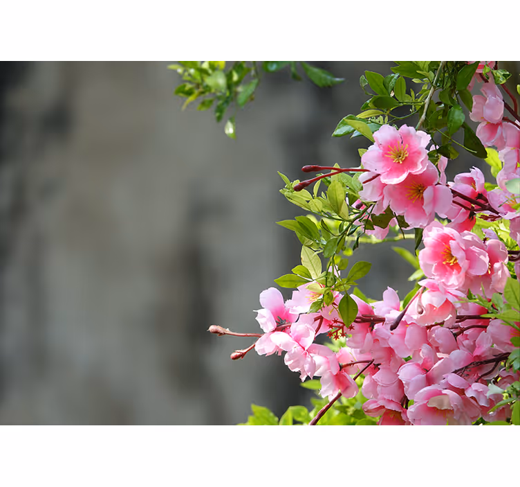 Rollo wohnzimmer mit 3d pinken blumen - TenStickers