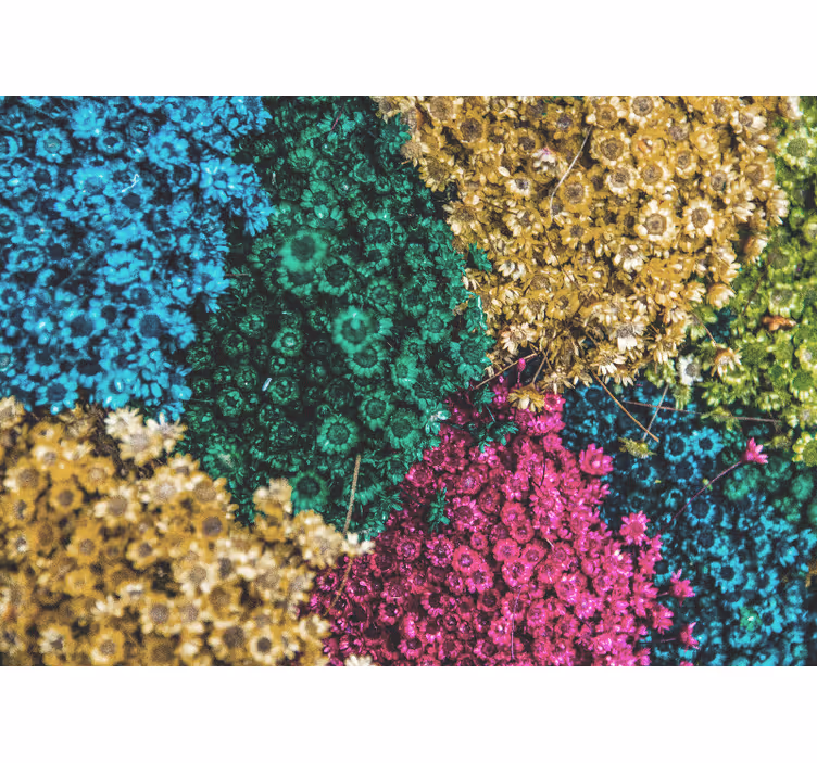 Rollo wohnzimmer mit regenbogen-gänseblümchen - TenStickers