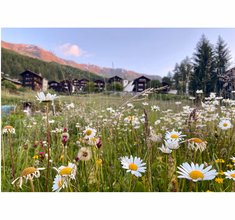 Rollo wohnzimmer blumenlandschaft im dorf - TenStickers
