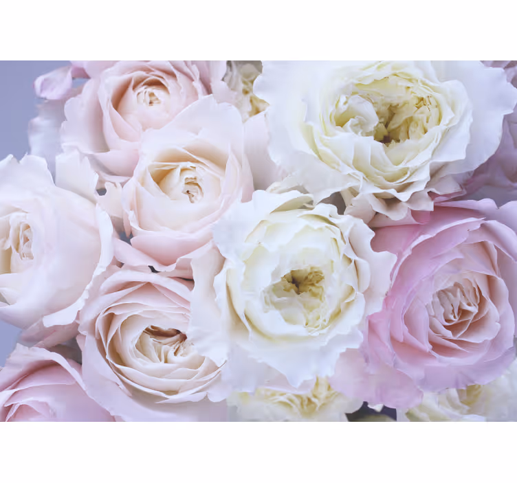 Rollo wohnzimmer verschiedene rosen nahaufnahme - TenStickers