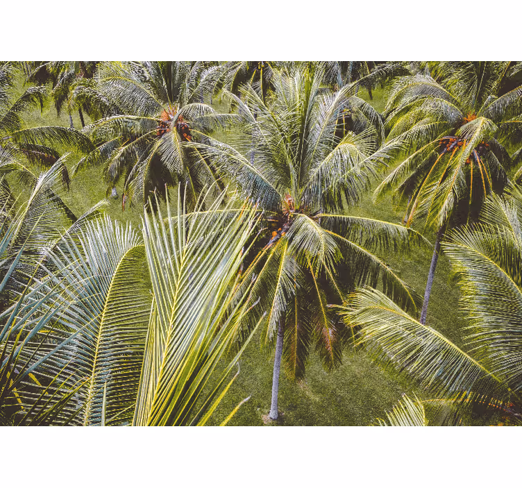 Rollo wohnzimmer grünes palmenwald landschaft - TenStickers