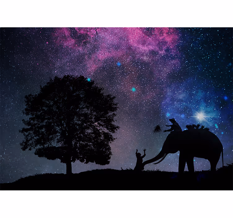 Rollo wohnzimmer elefant unter sternenhimmel - TenStickers