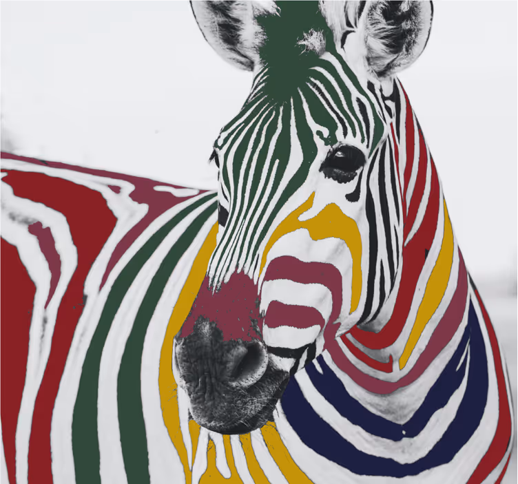 Rollo wohnzimmer mit buntem zebra kunstwerk - TenStickers