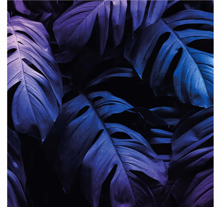 Rollo wohnzimmer neon exotisches blatt - TenStickers