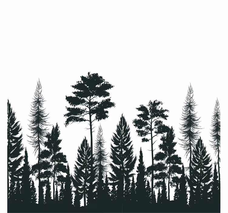Rollo wohnzimmer silhouette von kiefernbäumen - TenStickers