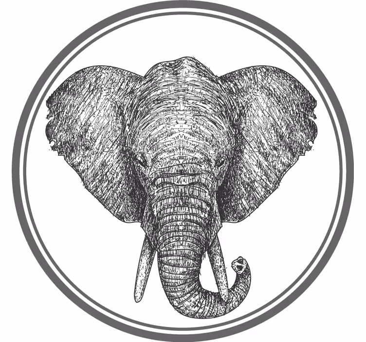 Rollo fenster grau grauer elefant - TenStickers