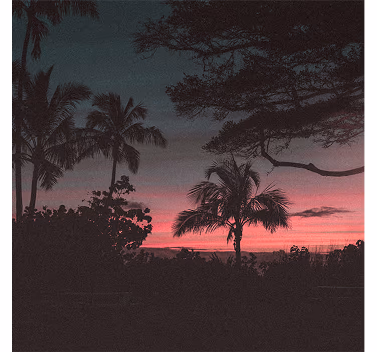 Rollo wohnzimmer bäume rosa himmel sonnenuntergang - TenStickers