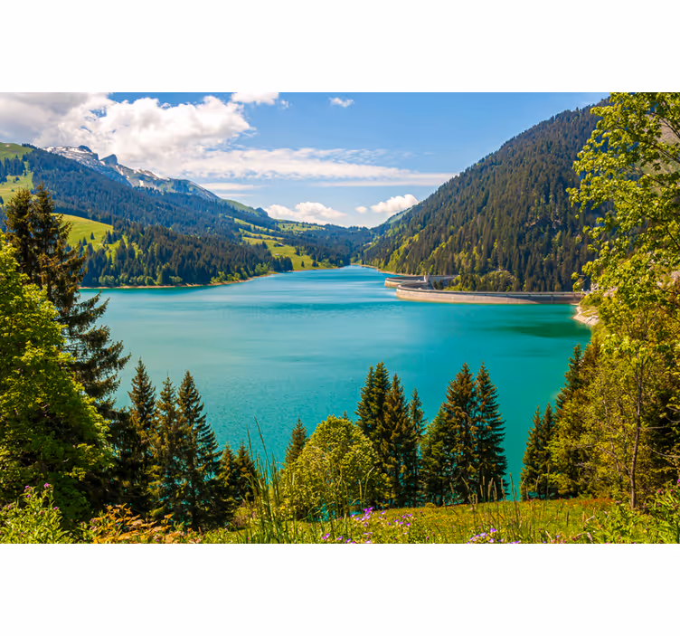Rollo wohnzimmer lago longrin - TenStickers