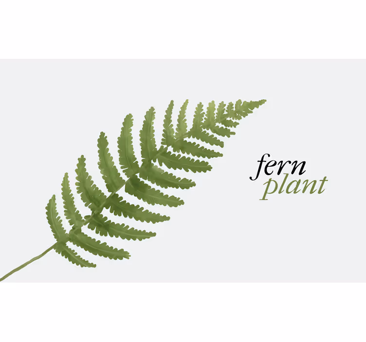 Rollo fenster schlafzimmer fern pflanze vinylteppich 1 - TenStickers