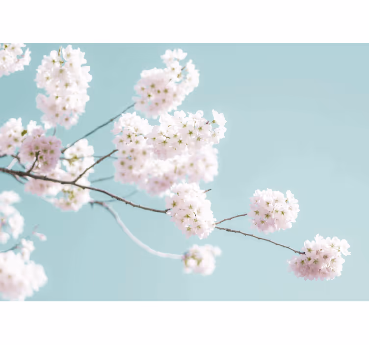 Rollo fenster weiß mit elegantem blumen design - TenStickers
