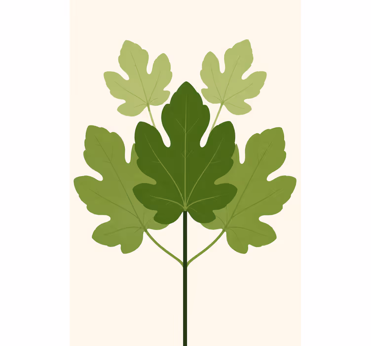 Rollo fenster blumenmuster figuera - TenStickers