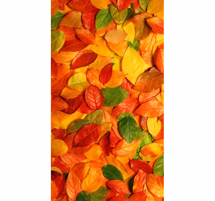 Rollo für küche mit herbstlichen blättern im design - TenStickers