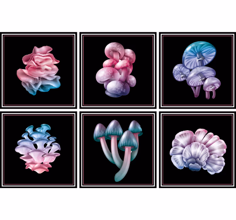 Rollo für küche mit zauberpilzen set - TenStickers