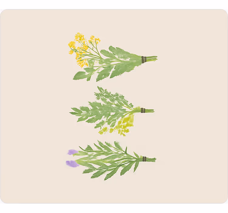 Rollo für küche mit eleganten einfachen blumen - TenStickers