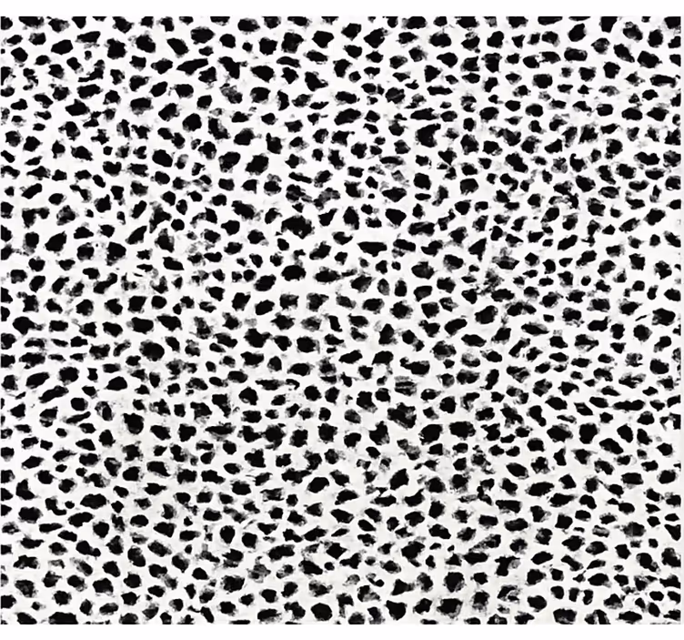 Rollo fenster schwarz im monochromen leopardenmuster - TenStickers