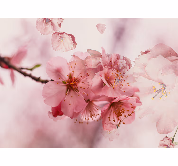 Rollo fenster badezimmer badblumen design - TenStickers