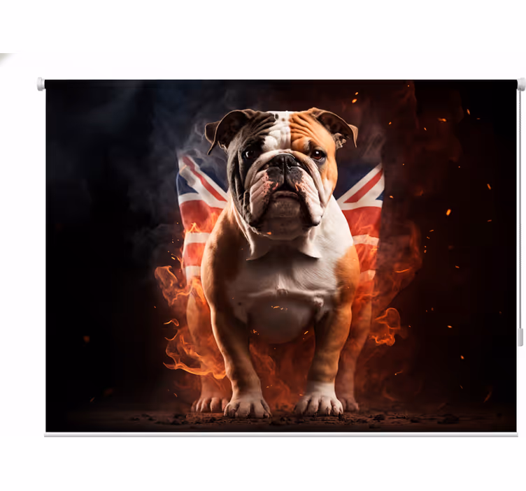 Rollo fenster jugendzimmer bulldogge in flammen - TenStickers
