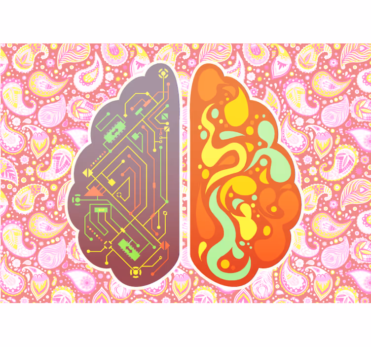 Rollo fenster zen mit paisleymuster design - TenStickers