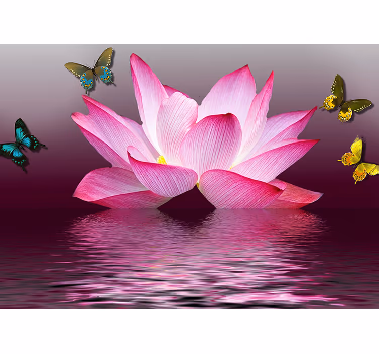 Rollo fenster zen pinker lotosblume mit schmetterlingen - TenStickers