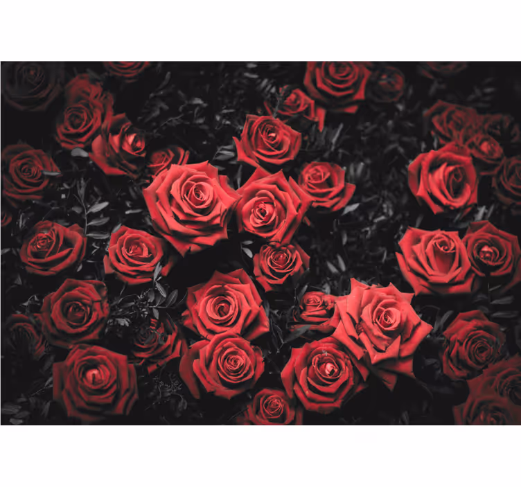Rollo fenster rot schwarz-weiß mit roten rosen - TenStickers