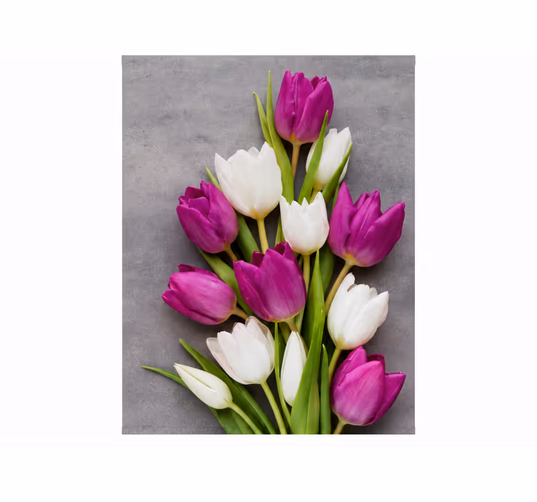 Rollo fenster lila mit echten tulpen - TenStickers