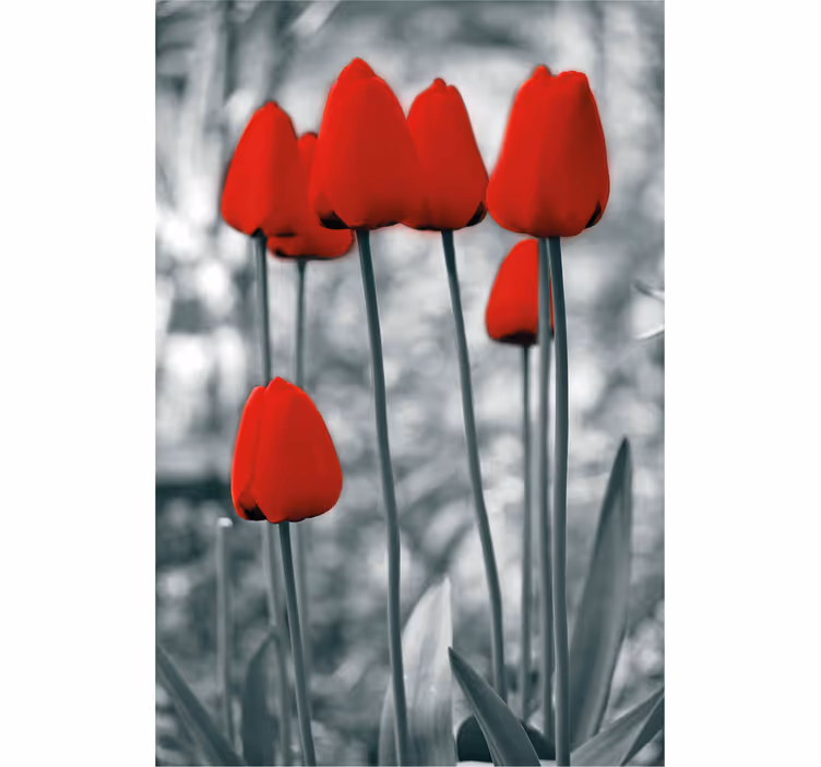 Rollo mit Blumen Rote tulpen bunt - TenStickers