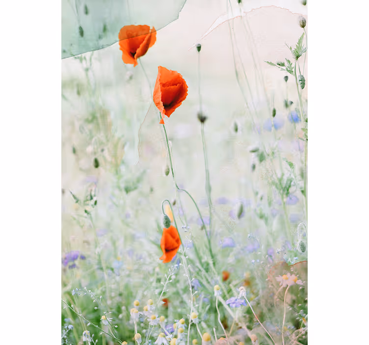 Blumen Rollo Fenster Verwischte rote mohnblumen - TenStickers
