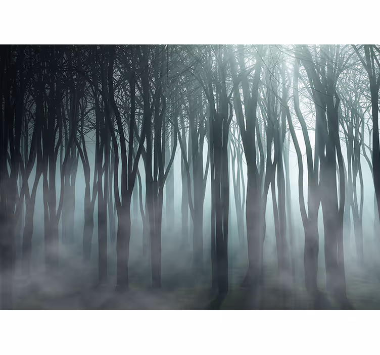 Rollo fenster baum nebelwald silhouette - TenStickers