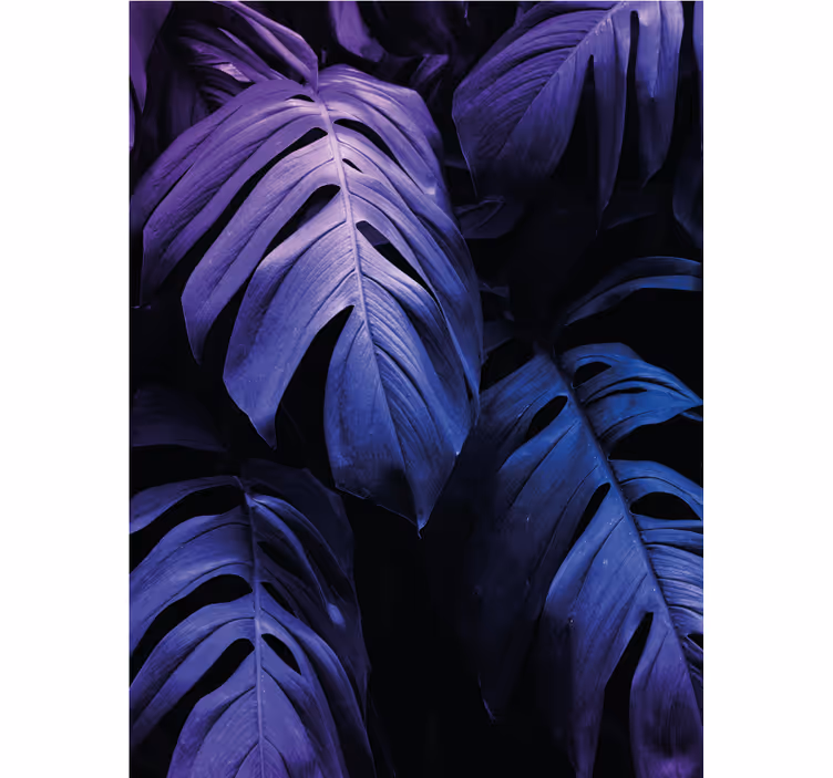 Rollo Fenster Blumen und Pflanzen monstera deliciosa laub - TenStickers