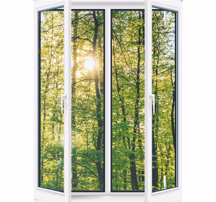 Rollo fenster baum sonnenlichtgrün - TenStickers
