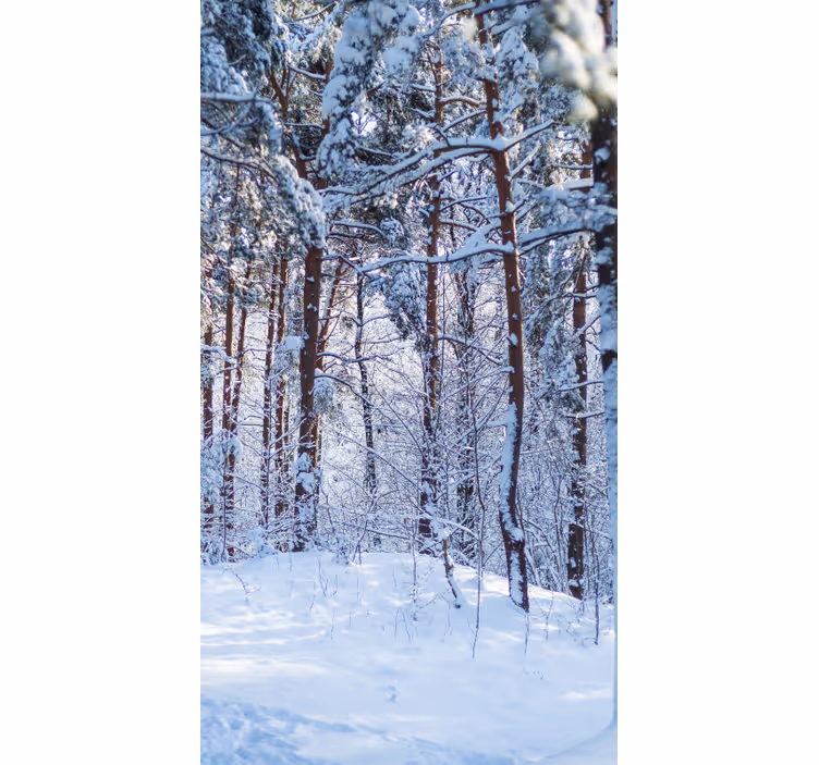 Rollo Fenster Baum verschneiter kiefernwald - TenStickers