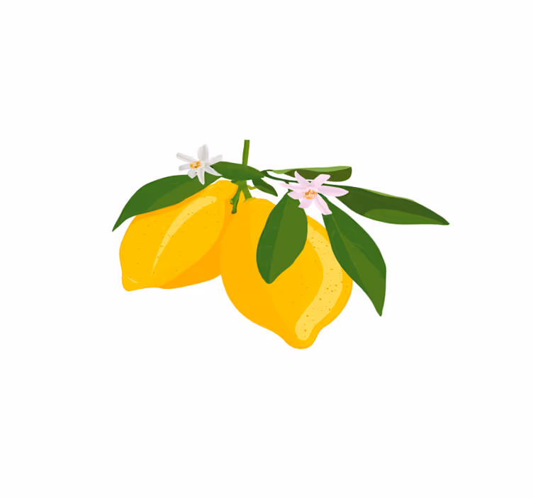 Tischsets originell mit zitronenbaum-illustration - TenStickers