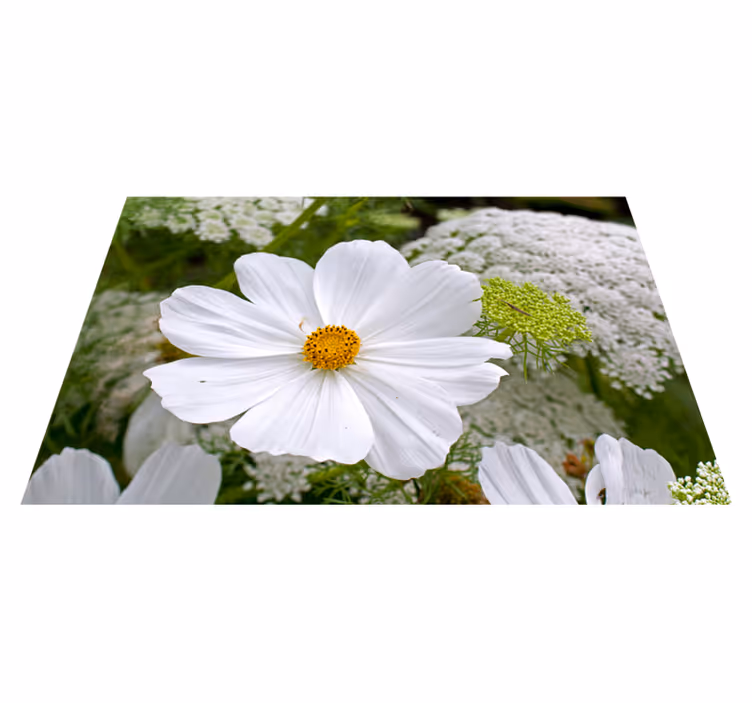 Tischsets originell in elegantem weißen blütendesign - TenStickers
