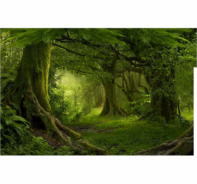 Tapete wald üppige wald-oase - TenStickers